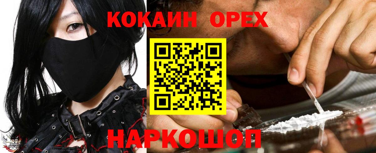 COCAIN Fish Scale  Cocaine  Шахты  Вход с VPN 