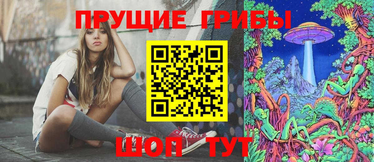 Псилоцибиновые грибы Cubensis Шахты