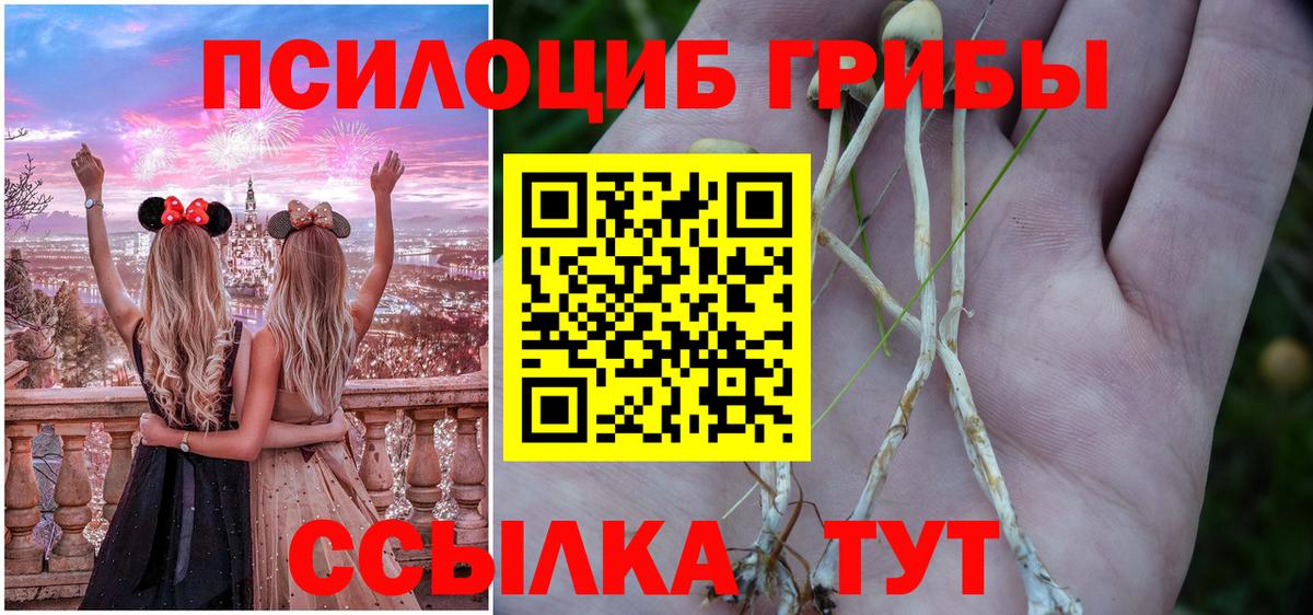 Шахты  Галлюциногенные грибы ЛСД  Вход с VPN 