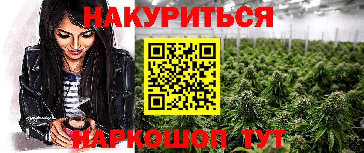 Канабис сатива Шахты